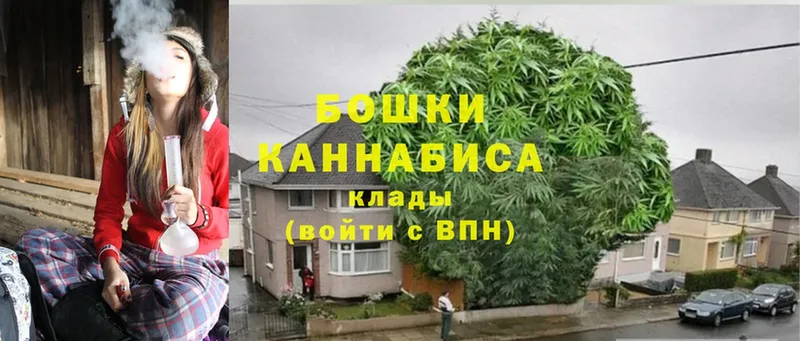 Бошки марихуана OG Kush  Артёмовский 